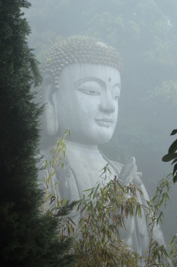 The Spiritual Journey From Awakening to Enlightenment