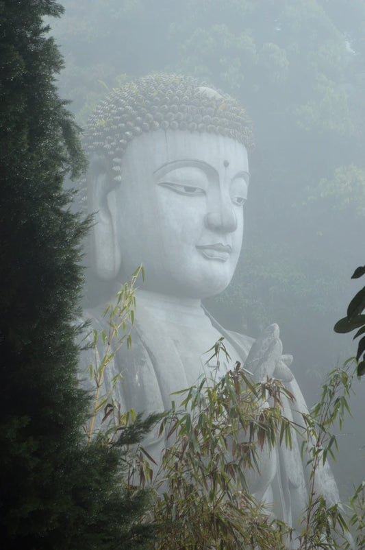 The Spiritual Journey From Awakening to Enlightenment