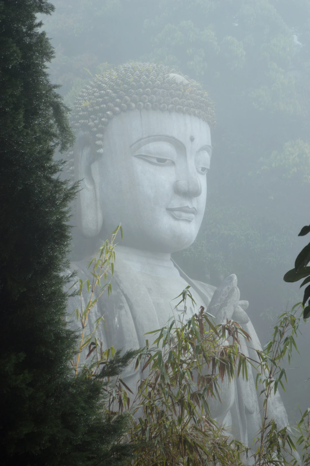 Embracing Change A Spiritual Quest Towards Renewal