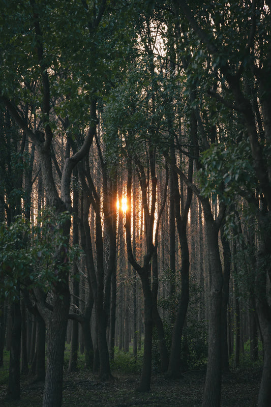 The Deep Connection Between Nature and Spirituality